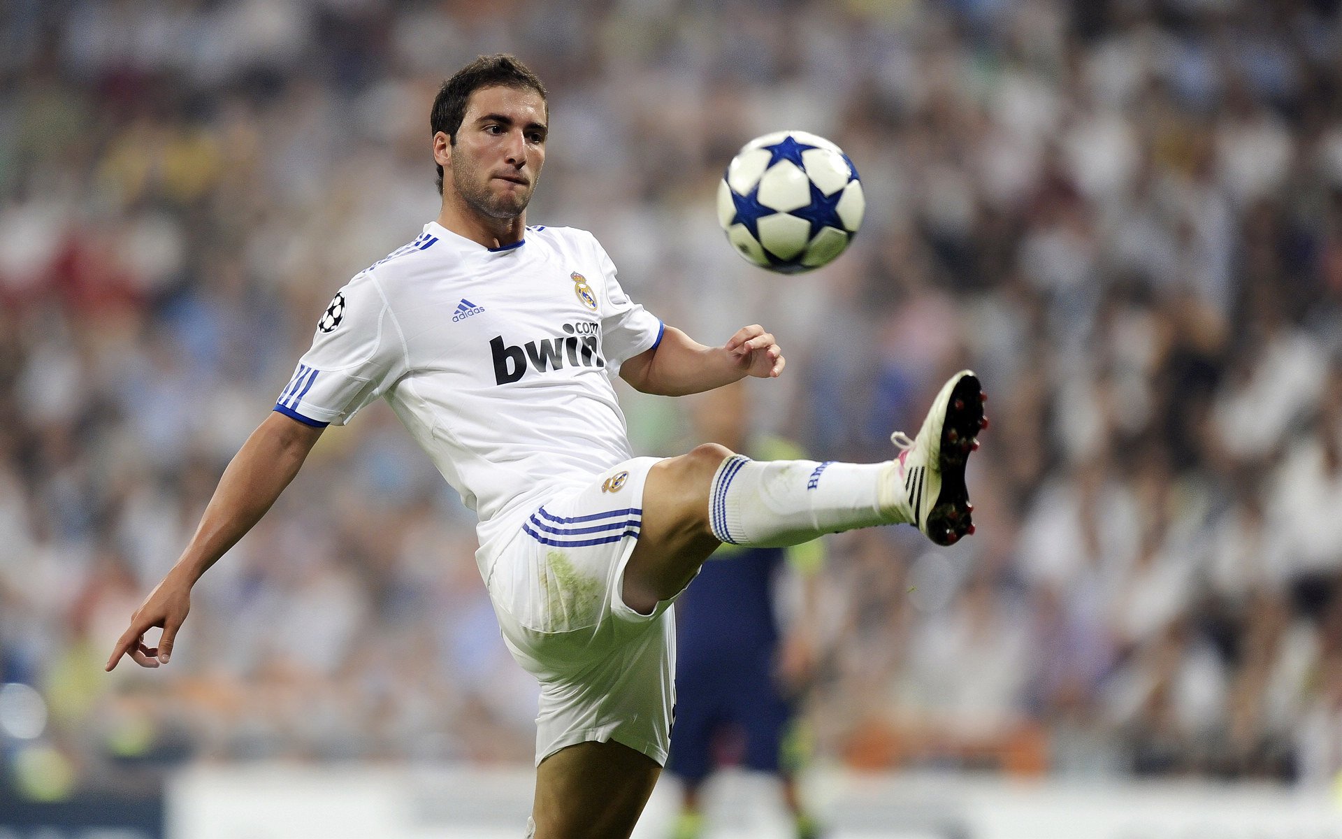 九游app官方下载-德甲青训体系改制与成效，德甲青训最好俱乐部